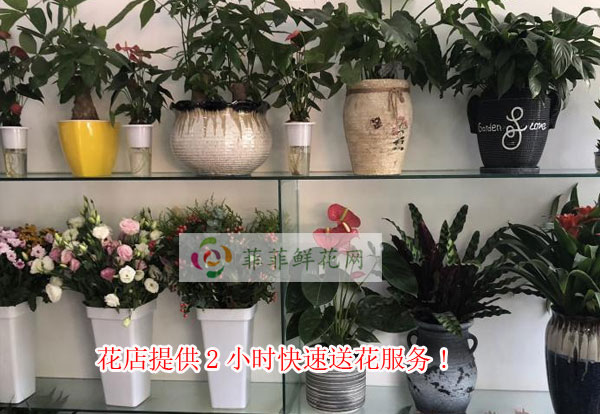 九江柴桑区花店提供九江柴桑区2小时快速送花服务