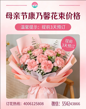 九江柴桑区花店母亲节康乃馨花束
