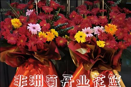 九江柴桑区开业花篮
